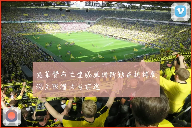 克莱赞布兰登威廉姆斯勤奋拼搏展现无限潜力与前途