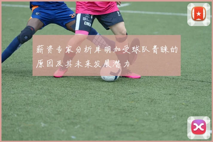 薪资专家分析库明加受球队青睐的原因及其未来发展潜力
