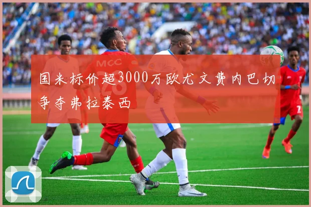 国米标价超3000万欧尤文费内巴切争夺弗拉泰西