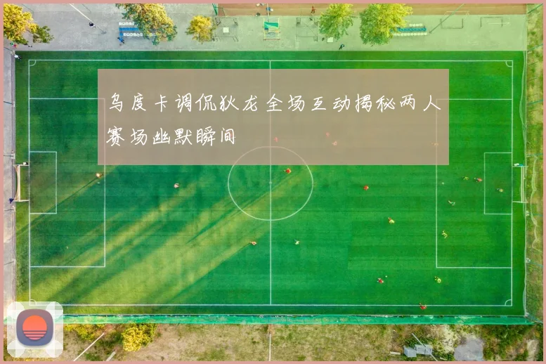 乌度卡调侃狄龙全场互动揭秘两人赛场幽默瞬间